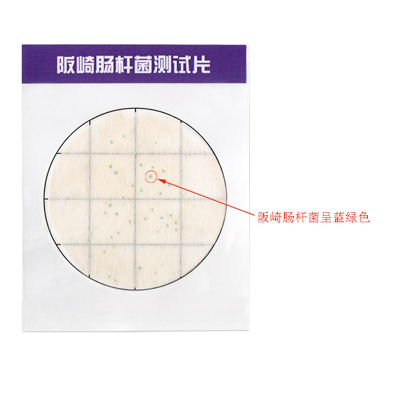 阪崎陽(yáng)性.jpg